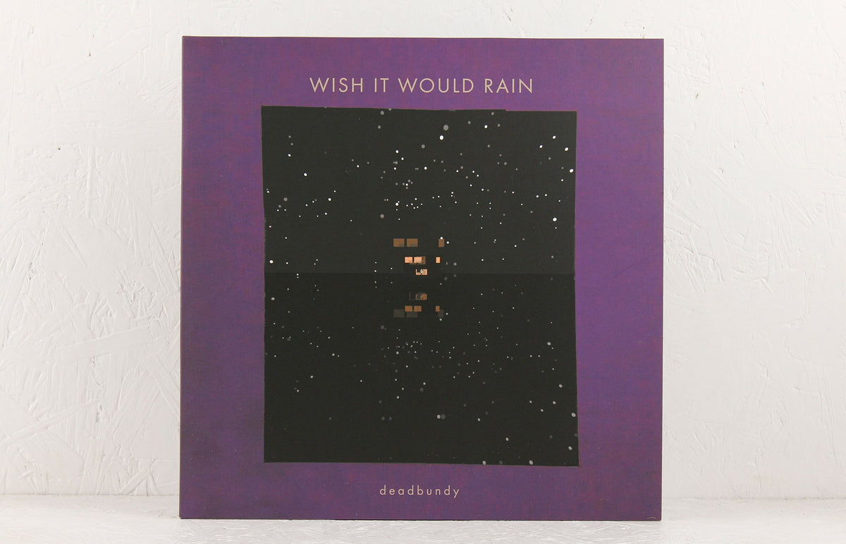 Wish It Would Rain – Vinyl 12"