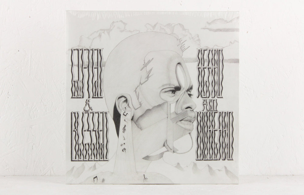 Heard and Unheard – Vinyl LP