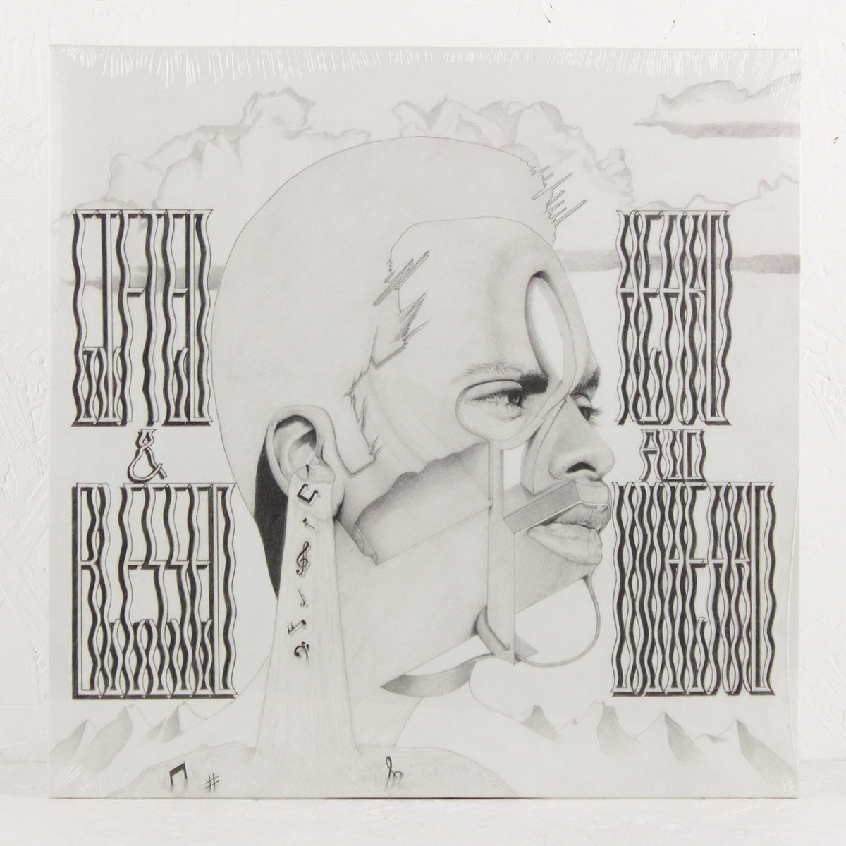 Heard and Unheard – Vinyl LP