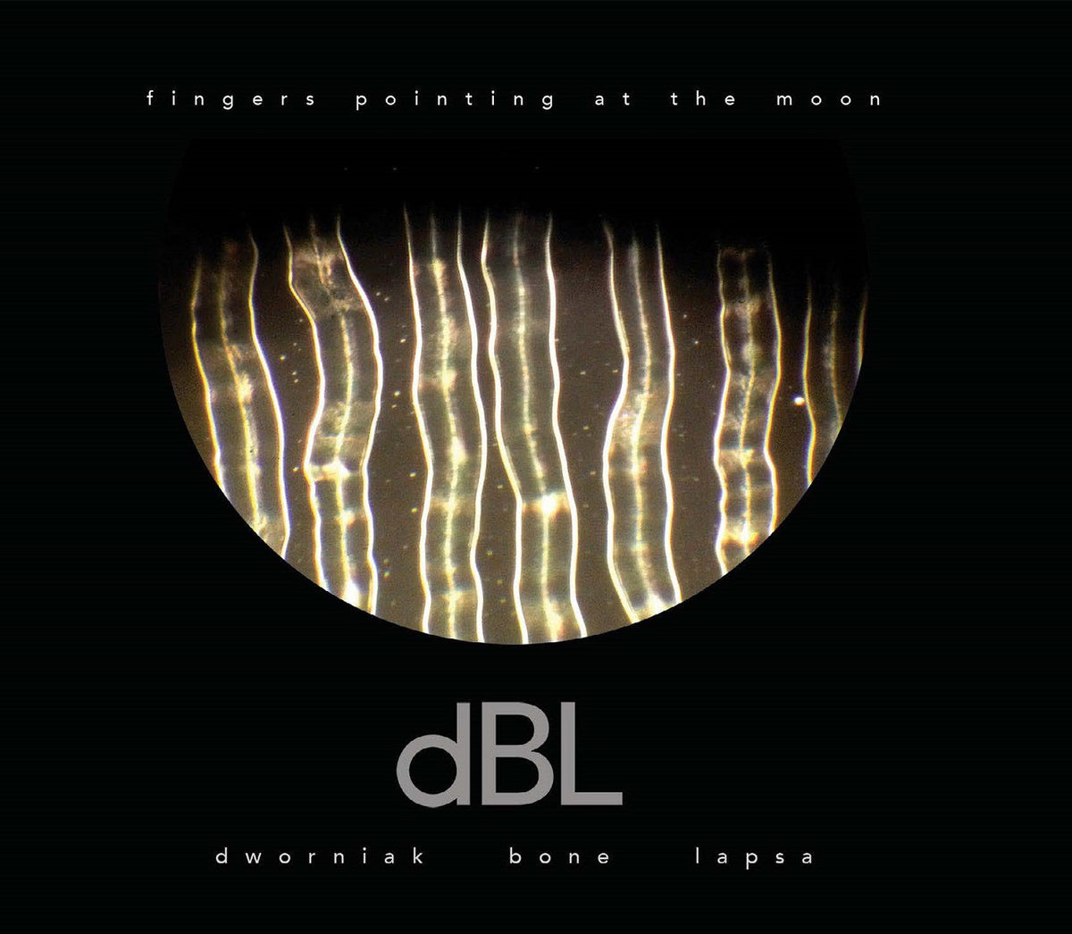 Dworniak Bone Lapsa - Fingers Pointing At The Moon ((Vinyl))