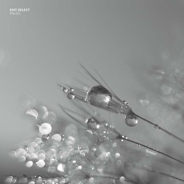 EDIT SELECT - Phlox ((Vinyl))