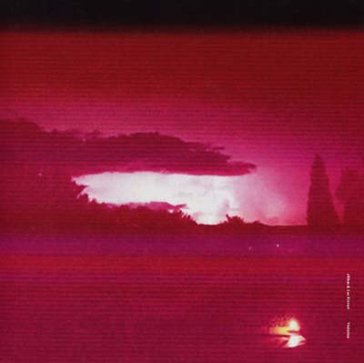 ERIKM & LUC FERRARI - Visitation ((Vinyl))